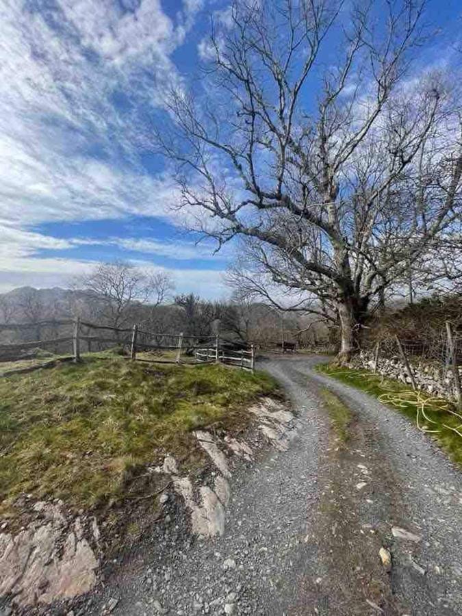 Pandy Farm - Waen Fechan Dolgellau Εξωτερικό φωτογραφία